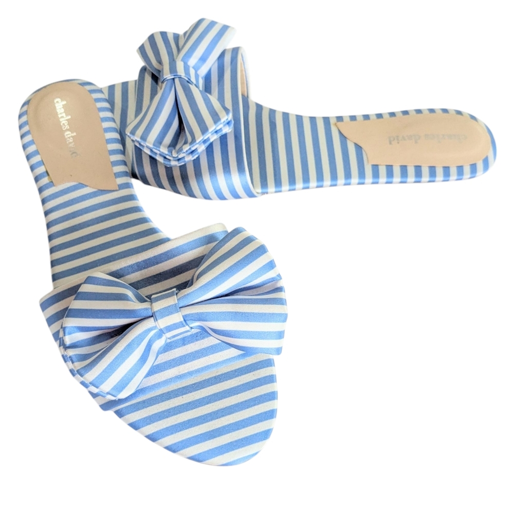 Charles David Something Blue Slides Size 8.5